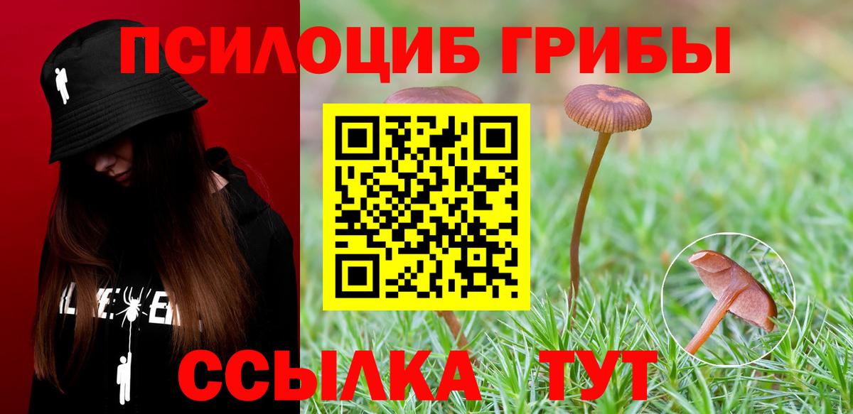 Касимов  Псилоцибиновые грибы MAGIC MUSHROOMS  Вход с VPN 