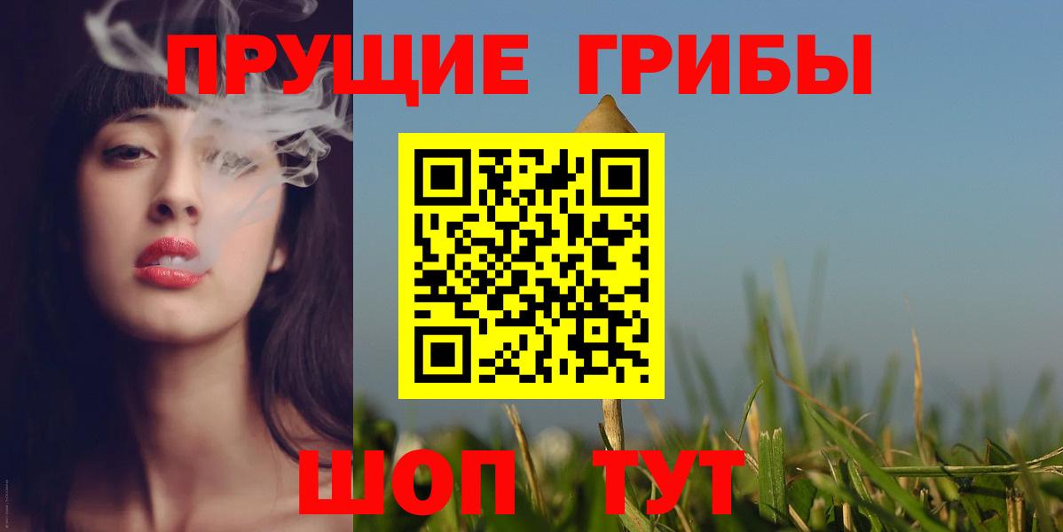 Галлюциногенные грибы Psilocybe Касимов